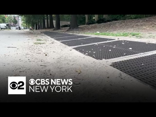 ⁣Largest outdoor art exhibit in Harlem's history uncovers pattern of groundcover erosion