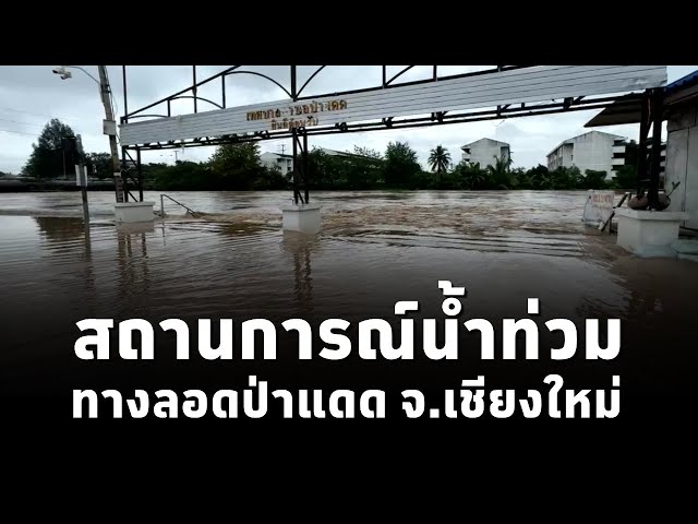 ประชาสัมพันธ์จังหวัดเชียงใหม่ รายงานสถานการณ์น้ำท่วม ทางลอดป่าแดด ฝั่งโรงเรียนพิมานเด็ก จ.เชียงใหม่