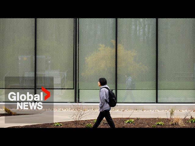 ⁣Nearly 13K international students applied for asylum in Canada this year, data shows