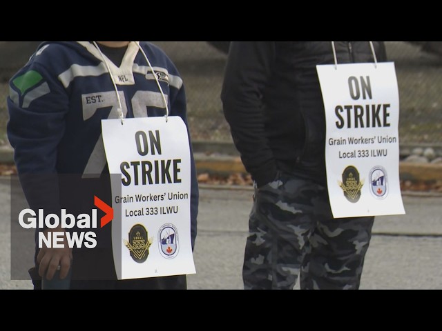 "It will slow everything": Grain workers start strike at 6 Metro Vancouver terminals