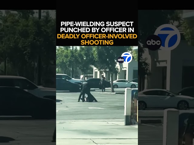 ⁣Fontana officer seen punching suspect in deadly confrontation