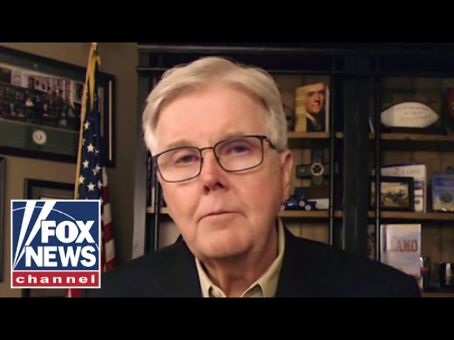 Texas Lt. Gov. Dan Patrick: This makes me sick to my stomach