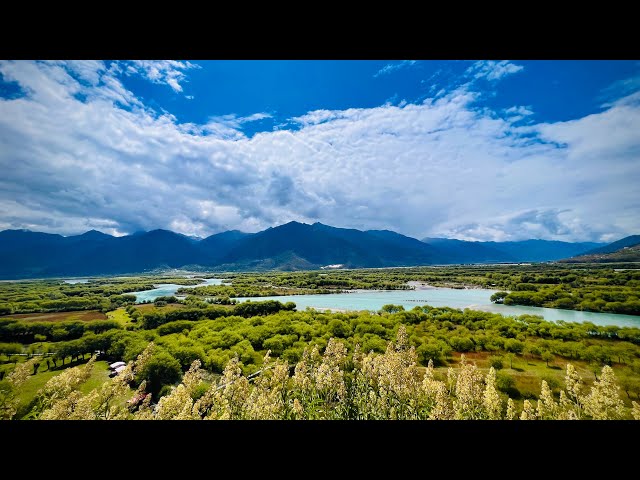 ⁣Xizang : la restauration écologique augmente le niveau de vie des habitants