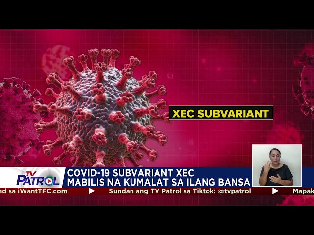 Bagong COVID subvariant 'di magdudulot ng malalang sakit: DOH