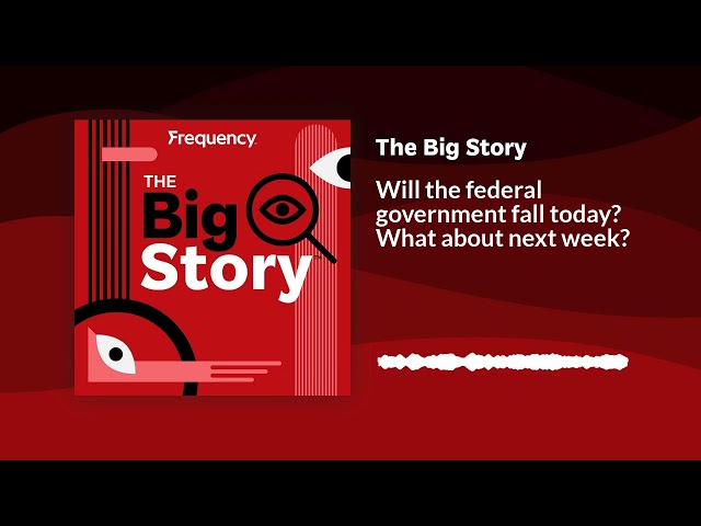 ⁣Will the federal government fall today? What about next week? | The Big Story