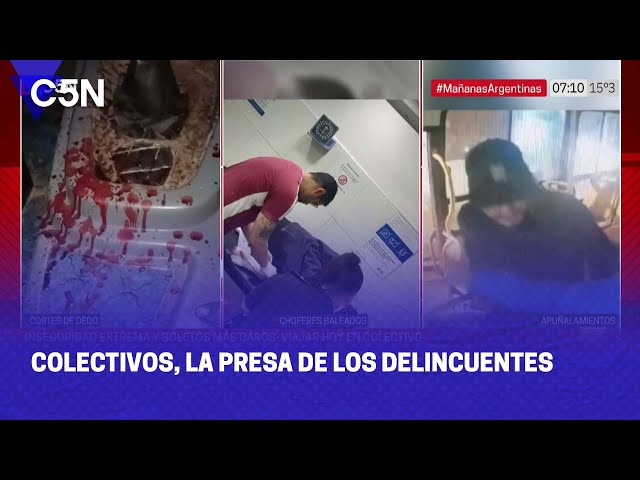 COLECTIVOS, la PRESA de los DELINCUENTES