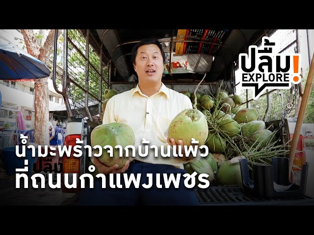 ⁣[Replay] ปลื้ม EXPLORE! น้ำมะพร้าวจากบ้านแพ้วที่ถนนกำแพงเพชร