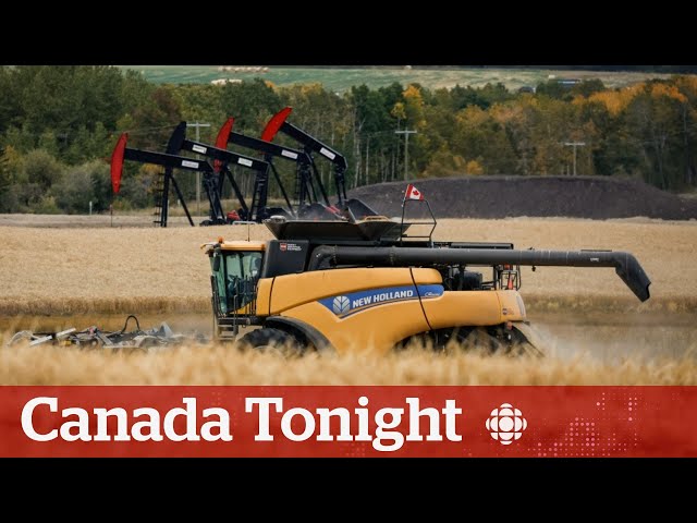 How grain farmers are impacted by the Vancouver grain terminal workers strike | Canada Tonight