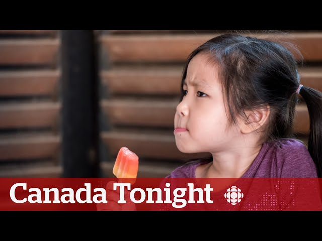 ⁣Nature, not nurture, accountable for ‘food fussiness,’ U.K. study suggests | Canada Tonight