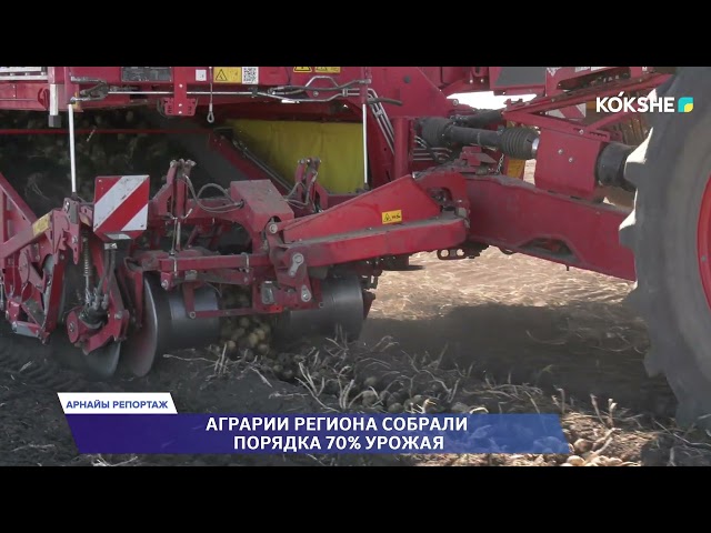 ⁣АРНАЙЫ РЕПОРТАЖ | Аграрии региона собрали порядка 70% урожая - 25.09.2024