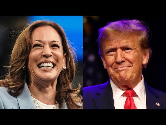 ⁣New poll shows likability matters more for Harris than Trump