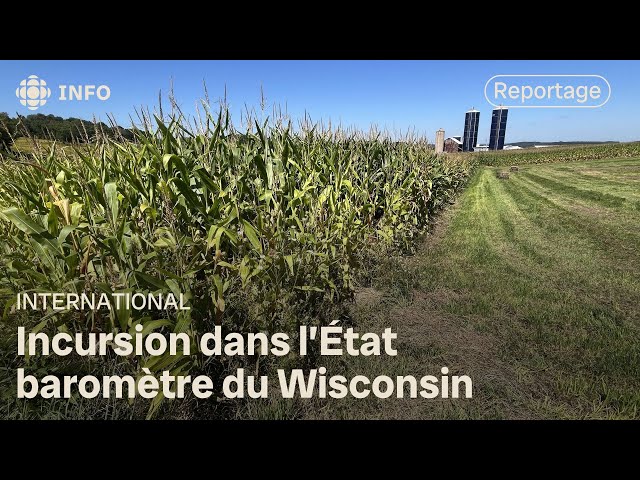 ⁣Sauk, Wisconsin : un comté baromètre dans un État baromètre