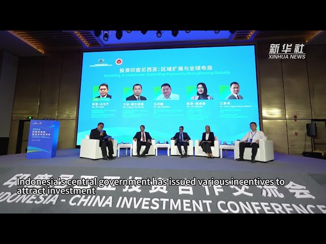 ⁣Indonesia welcomes more investment from China: official