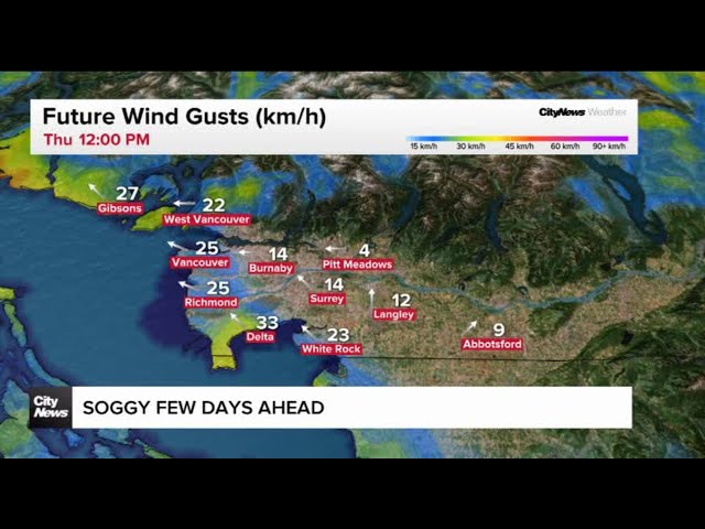 Rain and soggy conditions for Metro Vancouver