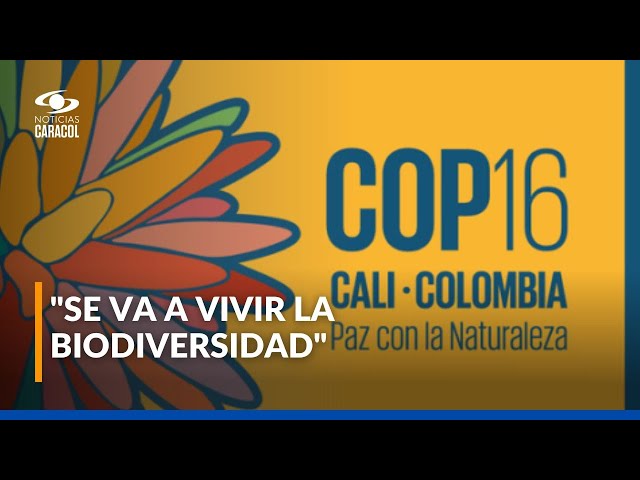 ⁣¿Qué viene para Cali y el Valle del Cauca con la COP16?