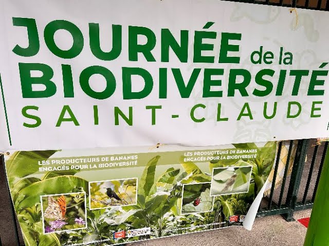 ⁣Saint-Claude :Matinée d'animations sur la Biodiversité.