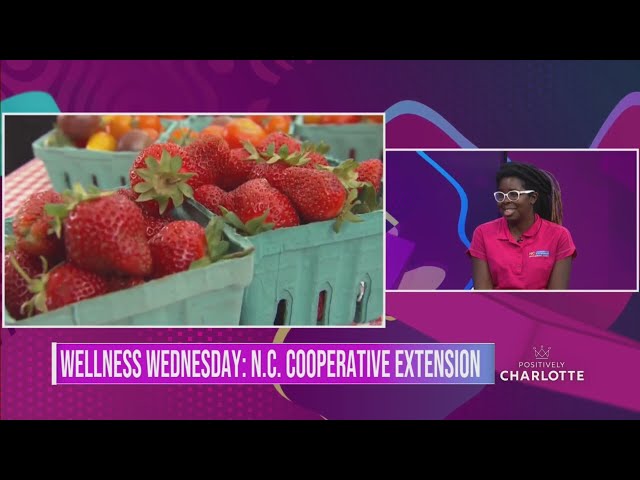 ⁣Wellness Wednesday: Celebrating National Fruits and Veggies Month with N.C. Cooperative Extension