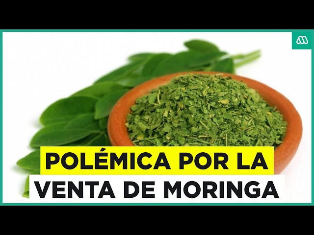 ⁣Polémica por venta de moringa: Prometía curar 300 enfermedades