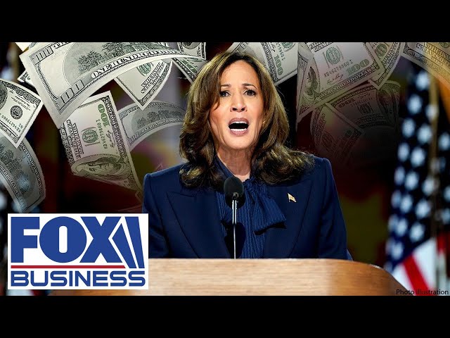 ⁣‘GREEN NEW SCAM’: Trump senior adviser uncovers Harris’ ‘scary’ economic plan