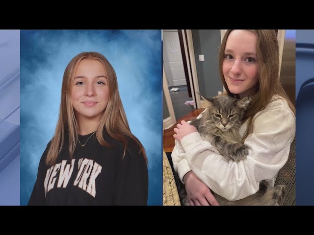 2 teens go missing in Chicago suburb