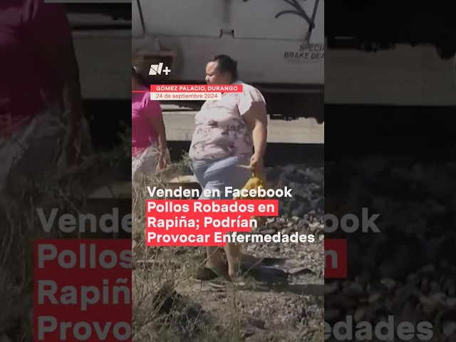 Venden en Facebook pollos robados en rapiña; Podrían provocar enfermedades - N+ #Shorts