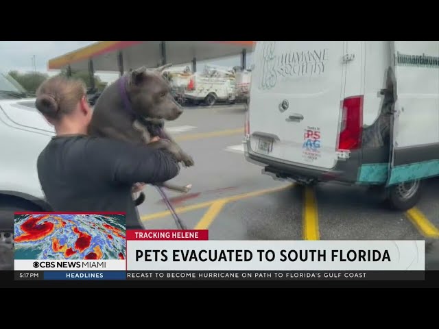 ⁣Pets in path of storm evacuated to South Florida