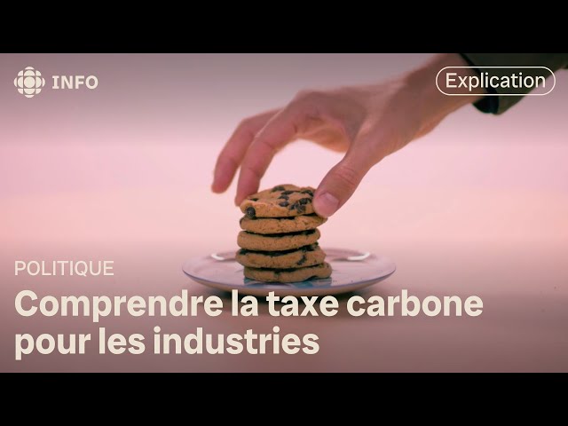 ⁣C'est quoi, la taxe carbone des industries?