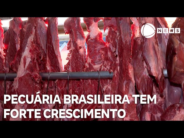 ⁣Conexão Agro: Pecuária brasileira tem forte crescimento em agosto