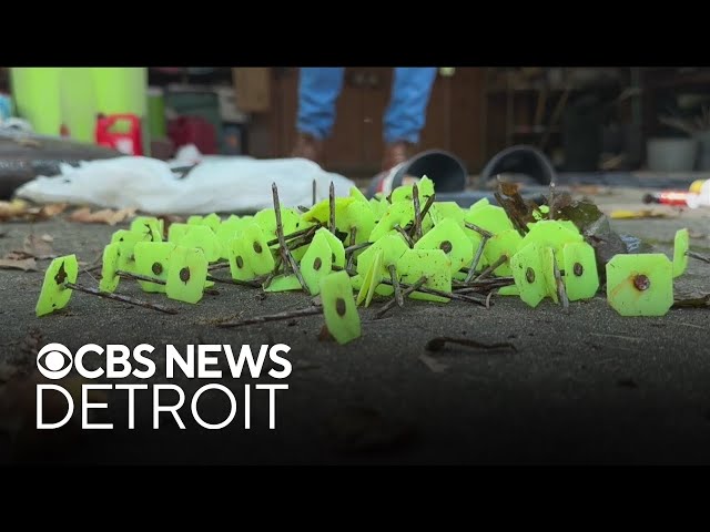 ⁣Residents in Michigan town with Harris signs say they're being targeted