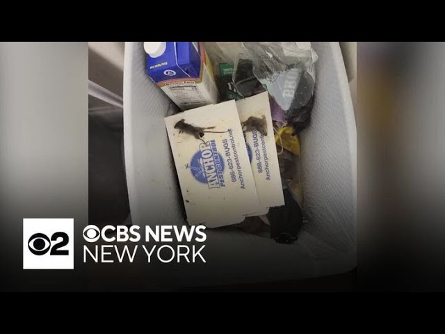 ⁣Seniors say they are living in deplorable living conditions in N.J. apartment complex