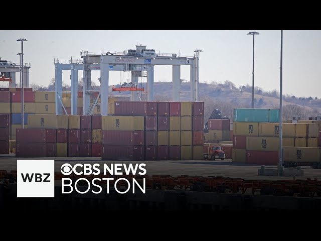 ⁣Port workers strike would have “moderate” impact in Boston, expert says