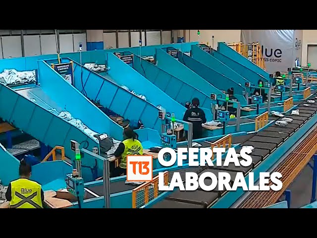 CyberMonday ofrece más de 2 mil puestos de trabajo: Así puedes postular