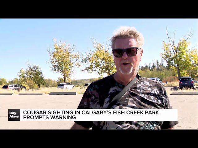 ⁣Cougar sighting in Calgary’s Fish Creek Park prompts warning