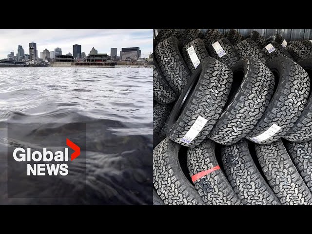 ⁣Divers remove hundreds of tires from St. Lawrence River near Montreal