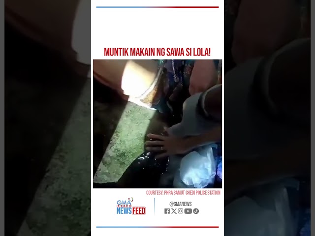 ⁣Senior citizen, muntik maging hapunan ng malaking sawa! | GMA Integrated Newsfeed