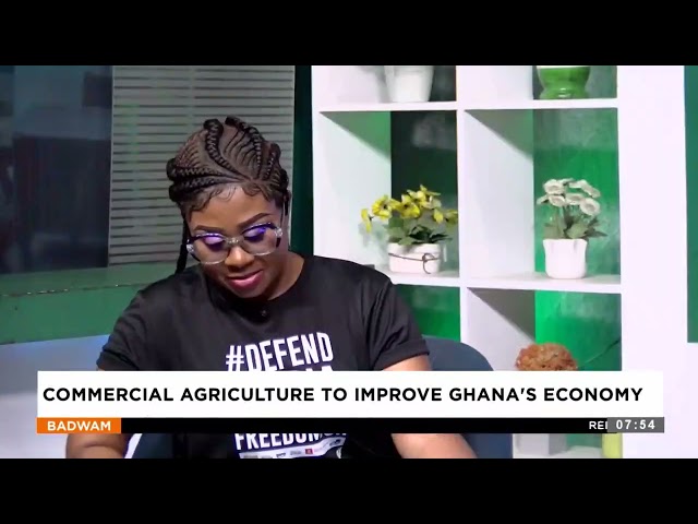 ⁣Commercial Agriculture to improve Ghana's Economy -  Badwam Afisem on Adom TV (26-09-24)