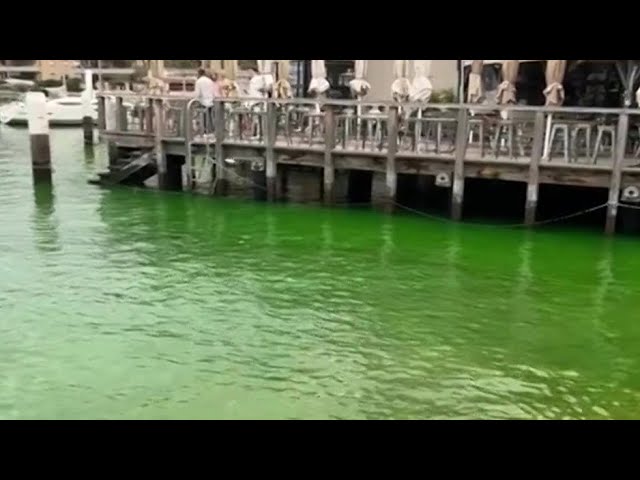 ⁣Dye leak turns Australia harbour water bright green