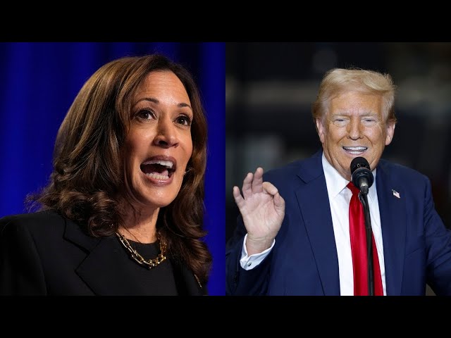 ⁣Race between Donald Trump and Kamala Harris ‘razor-thin’