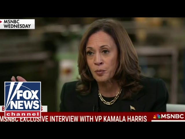 'BEST WE HAVE': Kamala Harris roasted for one-on-one interview