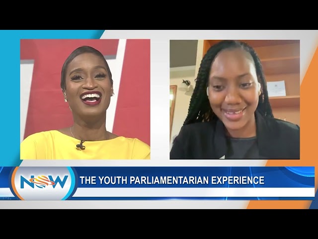 ⁣The Youth Parliamentarian Experience