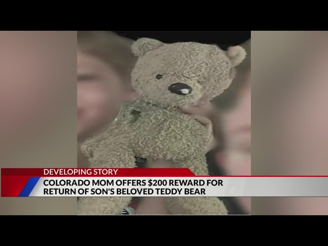 ⁣Colorado family offers $200 for return of beloved teddy bear