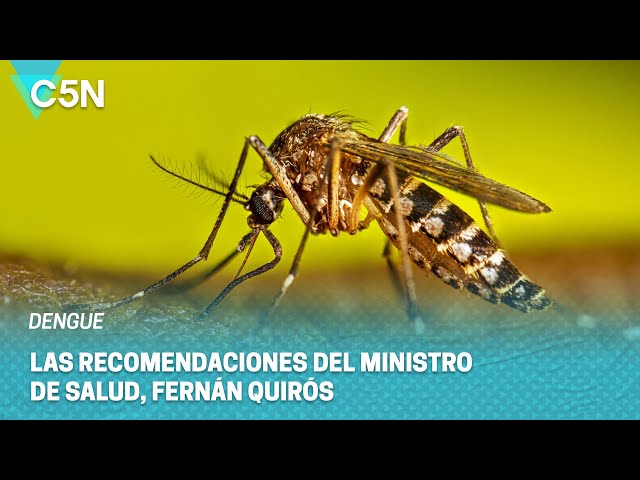 ⁣DENGUE: Las RECOMENDACIONES de Fernán QUIRÓS ante un nuevo BROTE