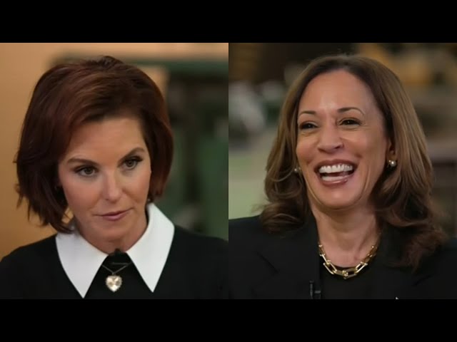 ⁣‘We want answers’: Kamala Harris given softball questions in MSNBC interview