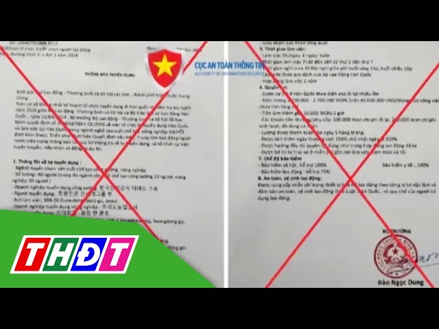 ⁣Cảnh báo giả mạo thông tin lừa đảo sang Hàn Quốc làm việc | THDT