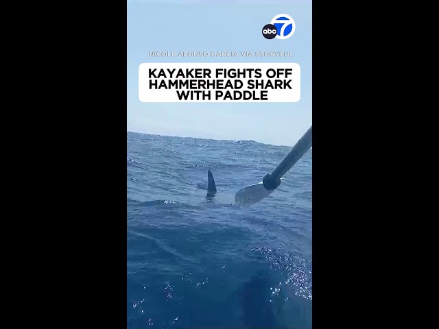 Kayaker fights off shark with paddle 