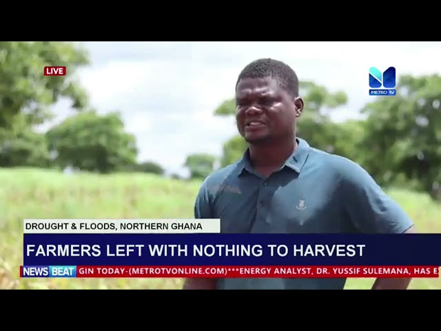 ⁣Farmers Left with Nothing to Harvest Due to Drought & Floods in Northern Ghana