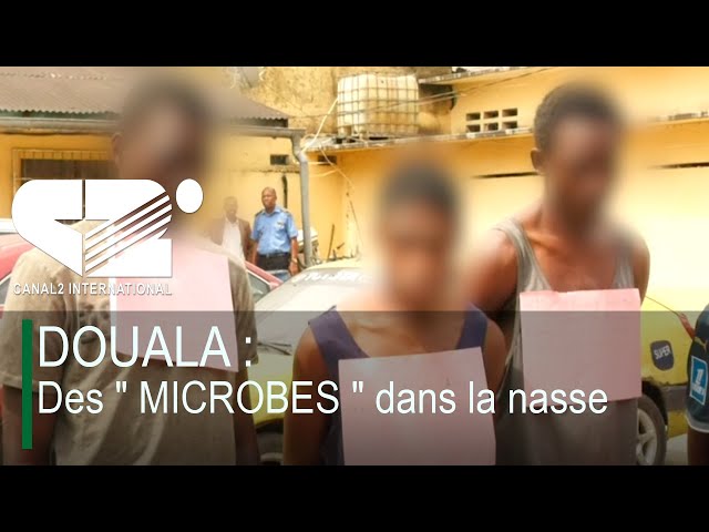 ⁣DOUALA : Des " MICROBES " dans la nasse