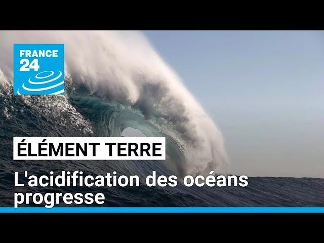 ⁣La 7è limite planétaire, l'acidification des océans, sur le point d'être franchie • FRANCE