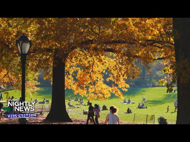 ⁣Autumn is here! We explain the science behind the changing seasons | Nightly News: Kids Edition