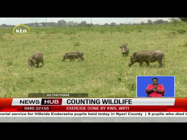 ⁣KWS & WRTI starts nationwide wildlife census exercise